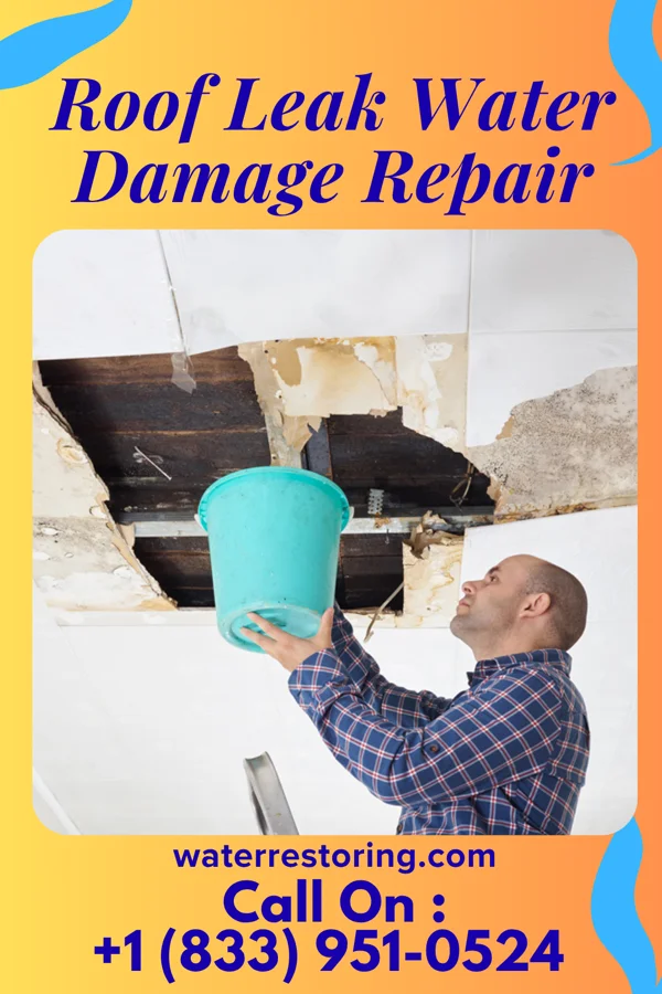 Roof Leak Water Damage Repair in Halltown, MO
