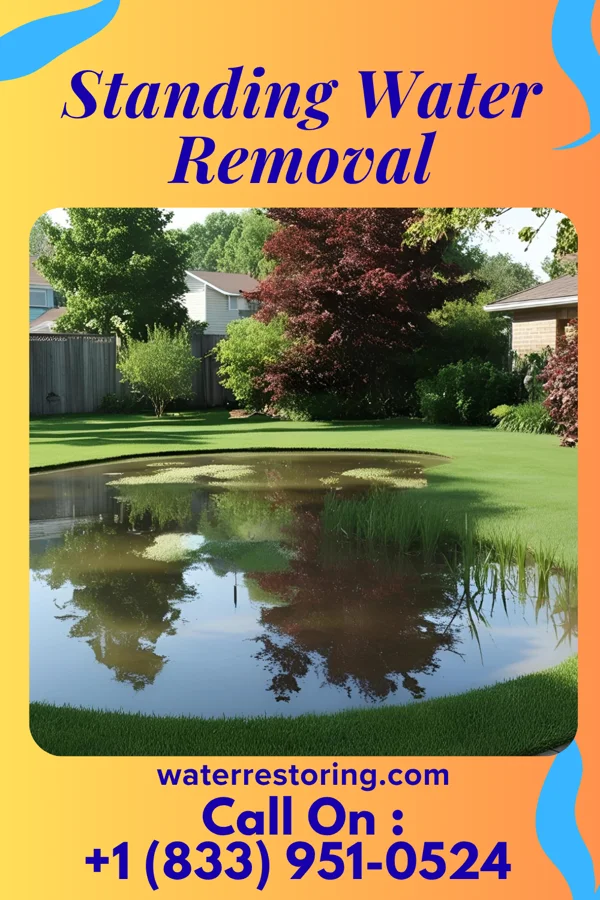 Standing Water Removal in Halltown, MO